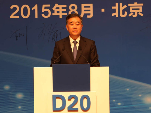 国务院副总理汪洋在D20峰会上的讲话