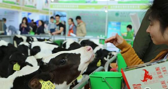 第十五届中国国际奶业博览会开幕