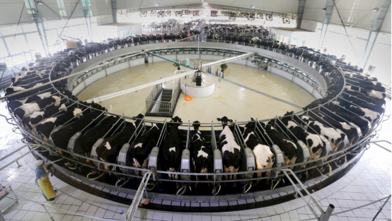 视界牧业A2β-酪蛋白牛奶：营养好吸收 引领乳品行业新潮流