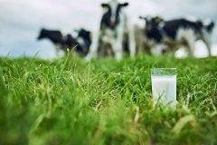 奶业+旅游，内蒙古乳品产业融合促发展